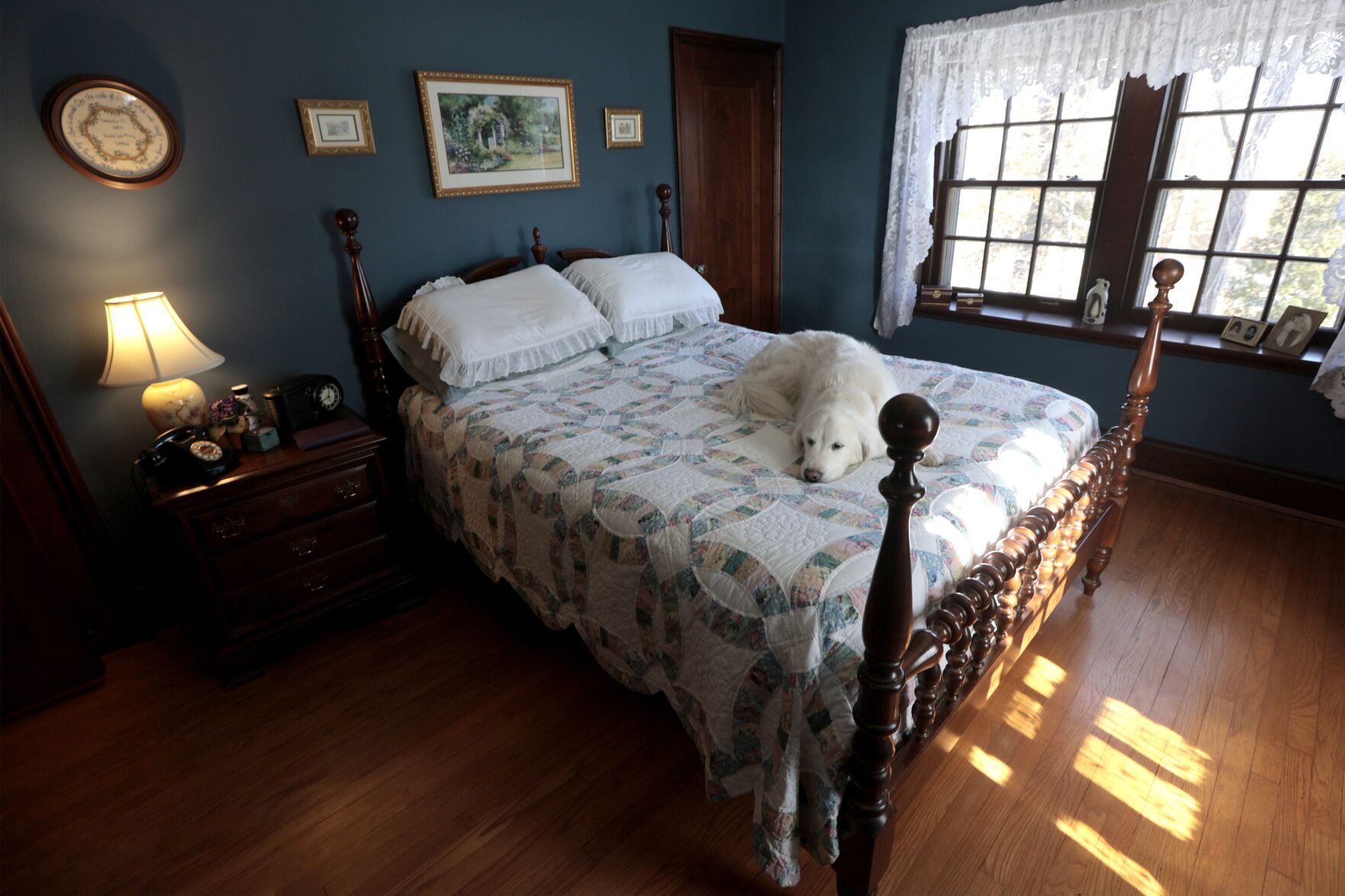At home with Mary and Jerry Whitley